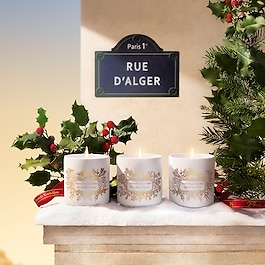 Baies des forêts - Bougie parfumée